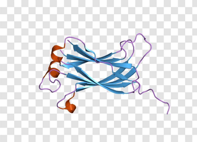 USP7 Ubiquitin Carboxy-terminal Hydrolase L1 Protease Clip Art - Silhouette - Cartoon Transparent PNG