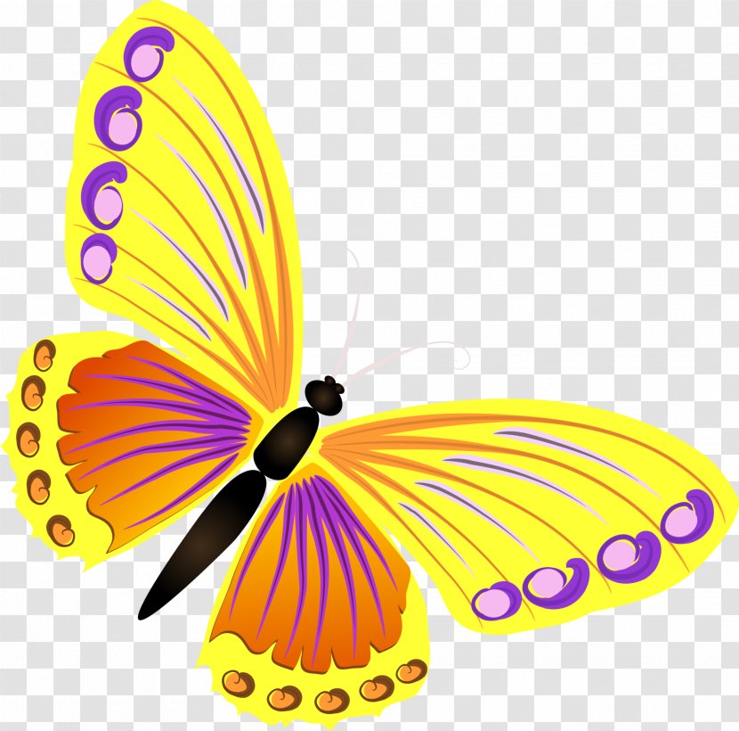 Butterfly Yellow - Designer Transparent PNG