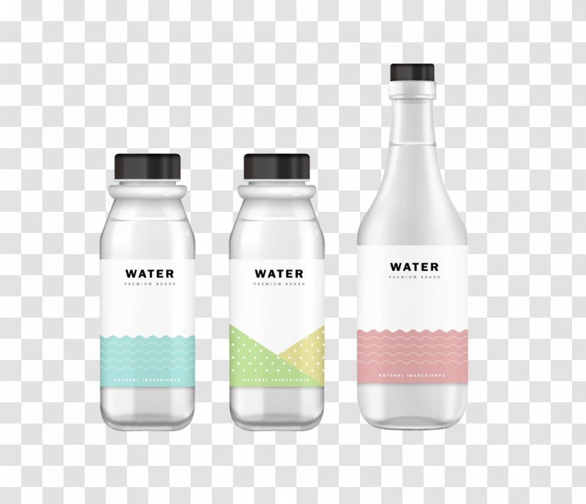 Water Bottle Glass Packaging And Labeling - Template - Vector Transparent PNG