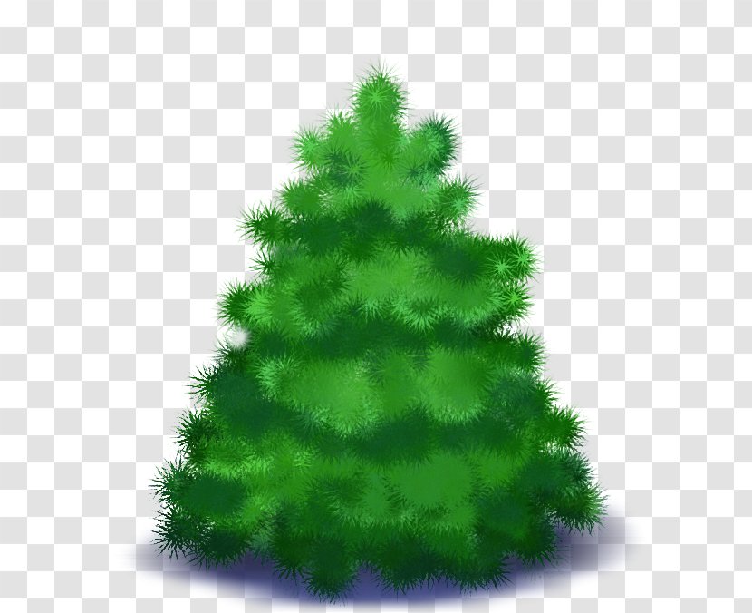 Spruce New Year Tree Christmas Day - Interior Design - Fir Transparent PNG