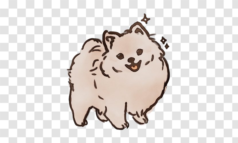 Pomeranian Dog Spitz Cartoon Snout - Fawn Nonsporting Group Transparent PNG