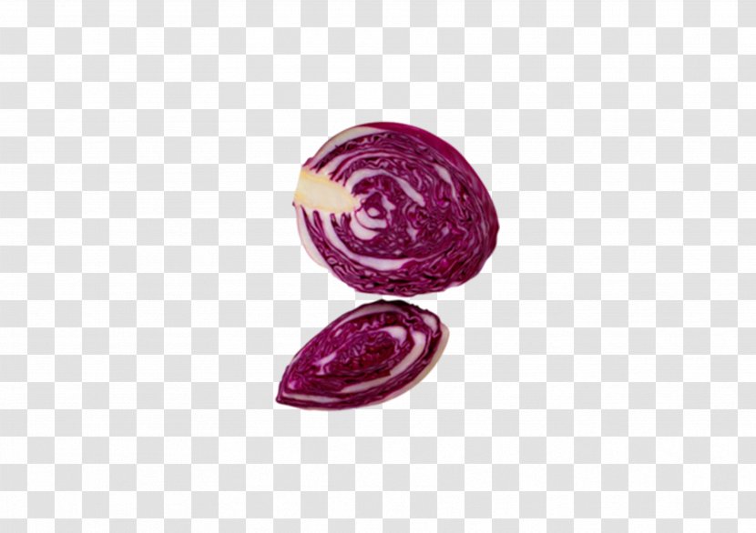 DASH Diet Whole Food Purple Circle Pattern - Book - Hand-painted Cabbage Transparent PNG