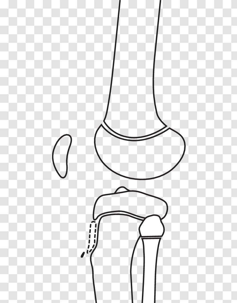 Book Drawing - White - Shoe Transparent PNG