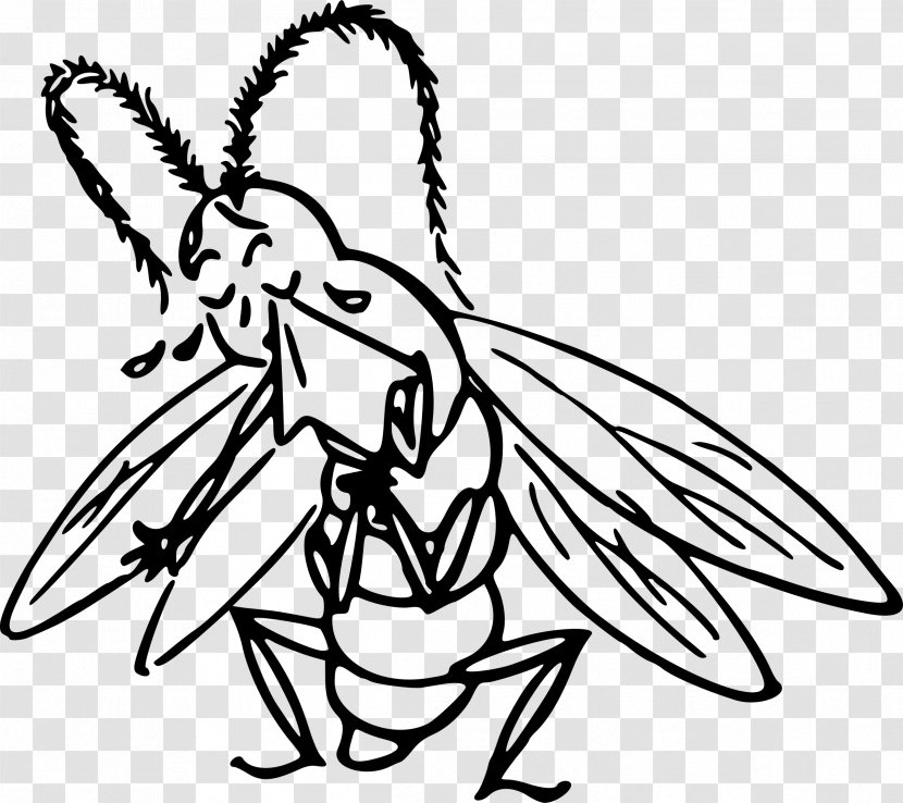 Insect Cartoon Drawing Clip Art - Mythical Creature - Animals Transparent PNG