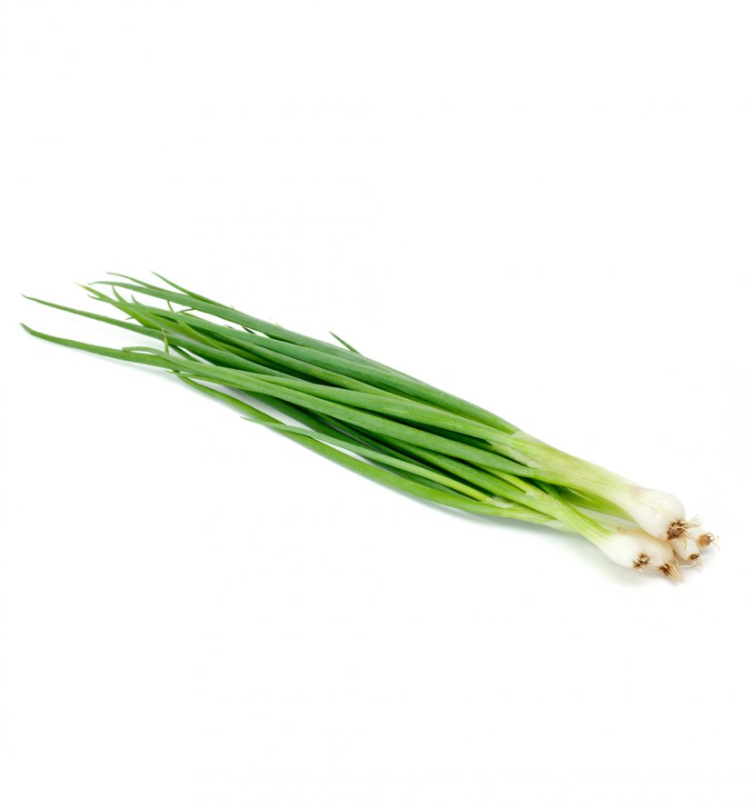 Organic Food Scallion Onion Vegetable Herb Transparent PNG