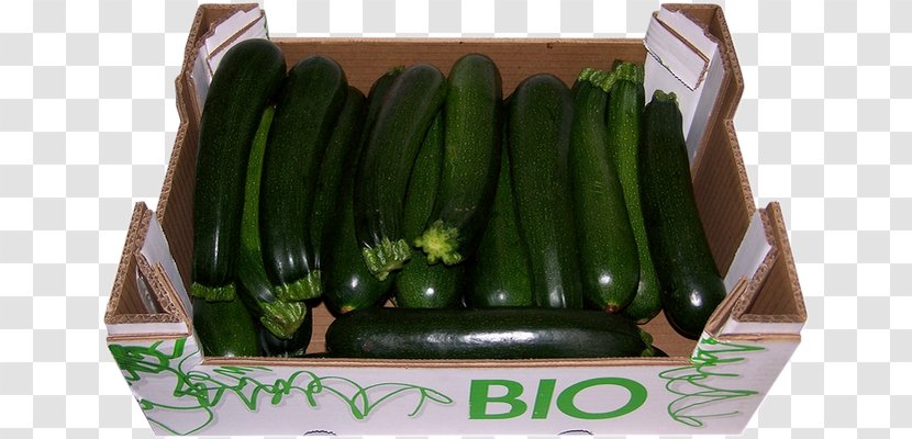 Cucumber Vegetarian Cuisine Local Food Ingredient - Zuchini Transparent PNG