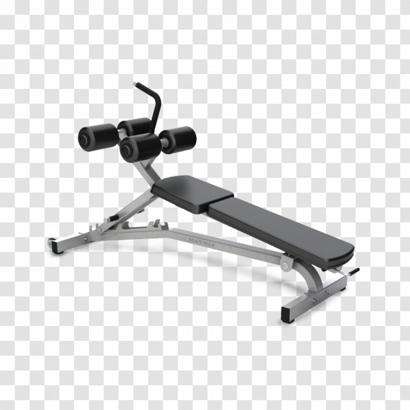 Bench Weight Training Exercise Equipment Johnson Health Tech Fitness Centre - Biceps Curl Transparent PNG