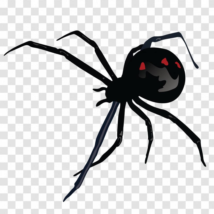 Southern Black Widow Spider Bite M STX G.1800E.J.M.V.U.NR YN - Tree Transparent PNG