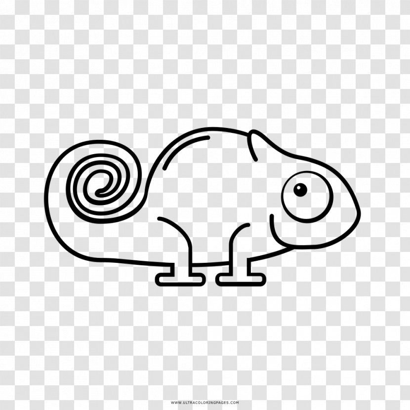 Chameleons Espio The Chameleon Drawing Coloring Book Black And White - Flower - Figure Transparent PNG