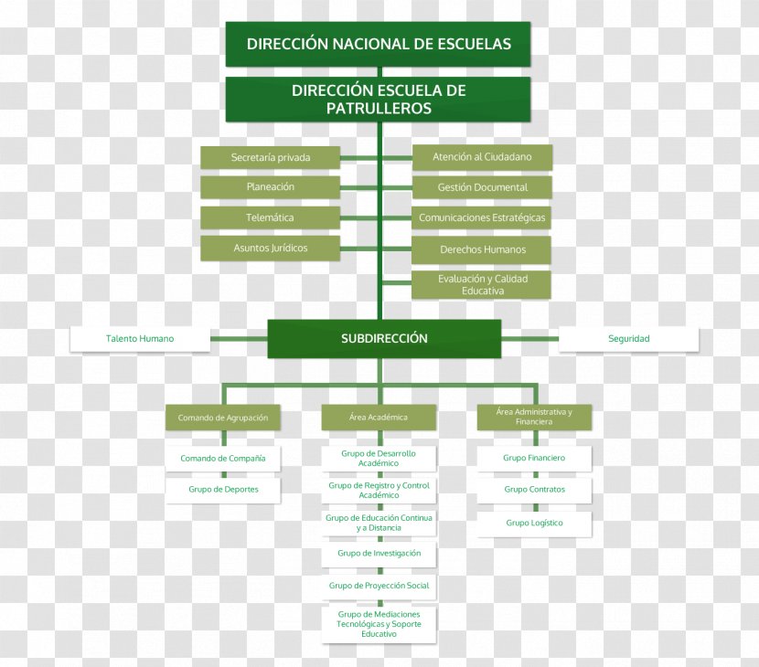 Organizational Chart Police Directorate Of Criminal Investigation And Interpol Kriminaalpolitsei - Diagram Transparent PNG