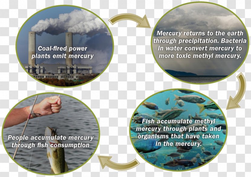 Health Effect Coal Combustion Fossil Fuel Power Station - Natural Environment Transparent PNG