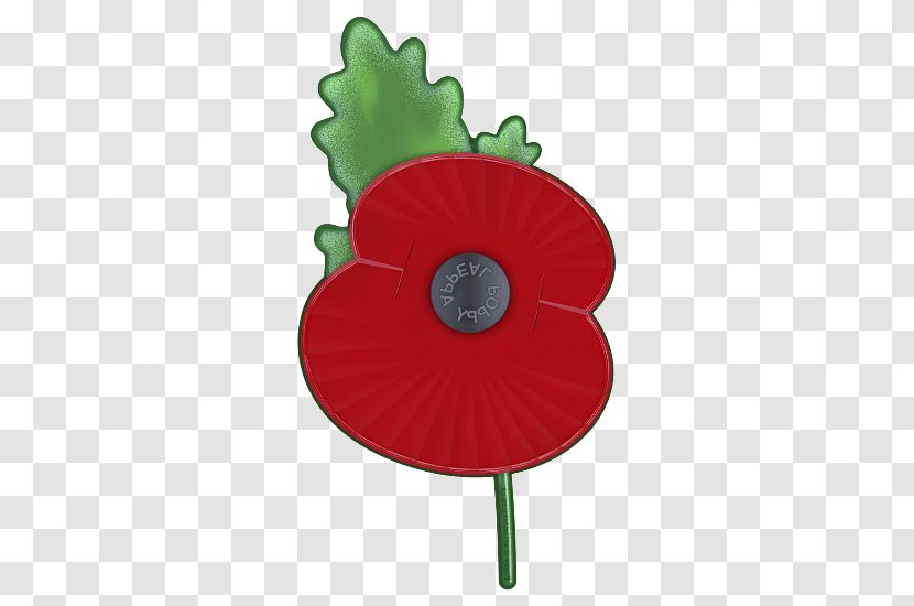 Poppy Green Family Coquelicot Plant - Anemone Corn Transparent PNG