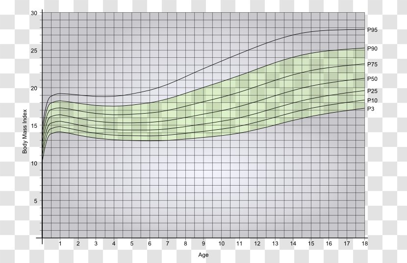 Body Mass Index Weight And Height Percentile Obesity Child Human - Adipose Tissue Transparent PNG