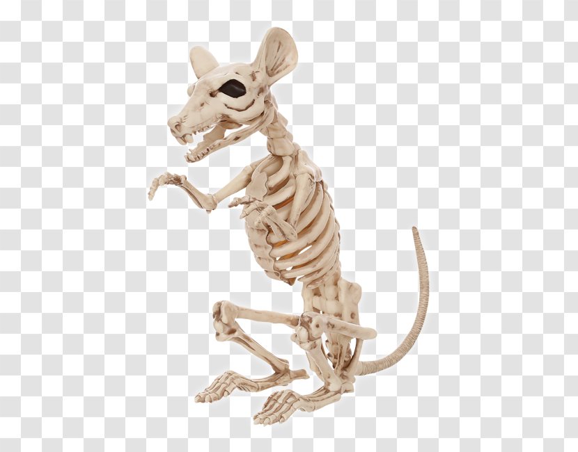 Rat Human Skeleton Rodent Bone - Animal Bones Transparent PNG