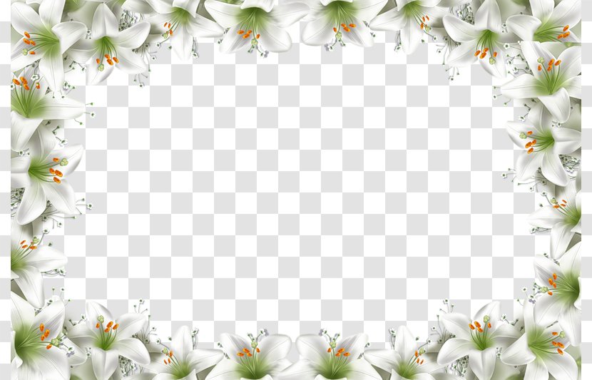 Picture Frame Animation Collage Clip Art - Photography - Floral Background Transparent PNG