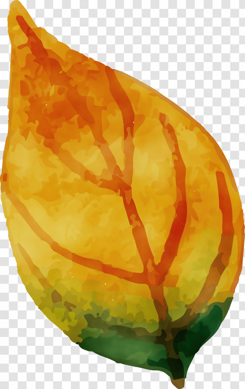 Gourd Transparent PNG