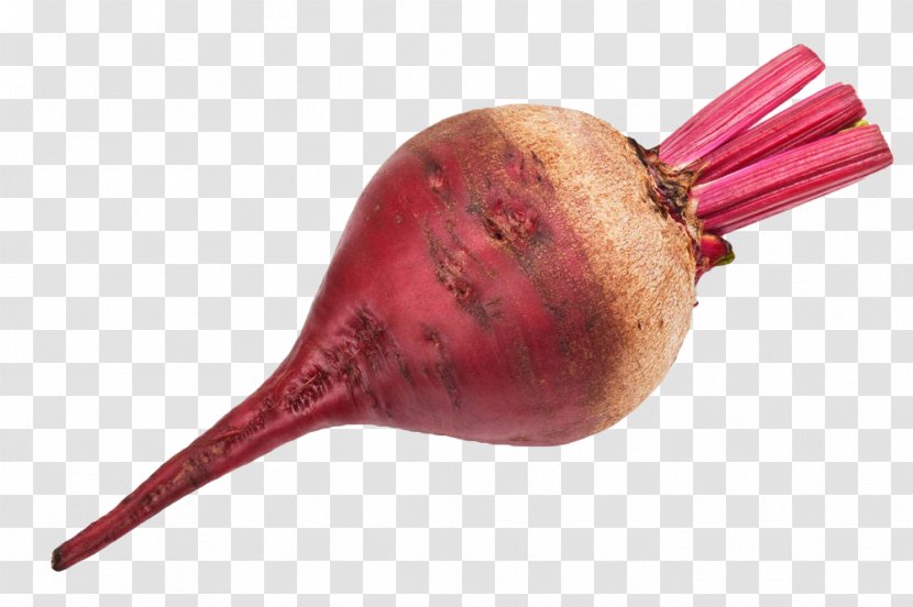 Beetroot Chard Vegetable Tomato Stock Photography - Purple Beet Head Transparent PNG