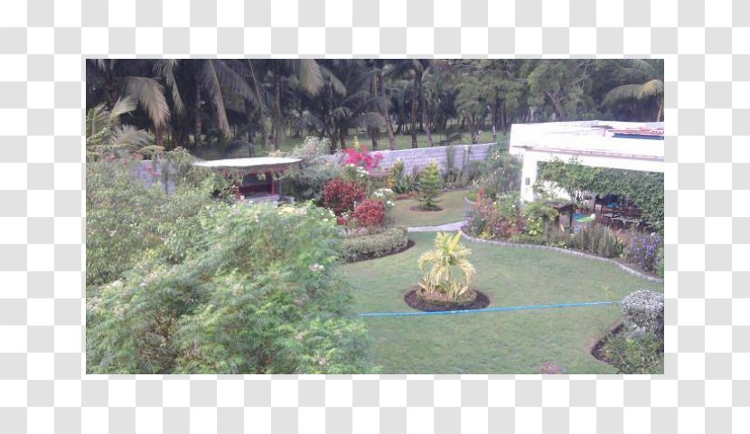 Backyard Flora Botanical Garden Property - Pool Side Transparent PNG