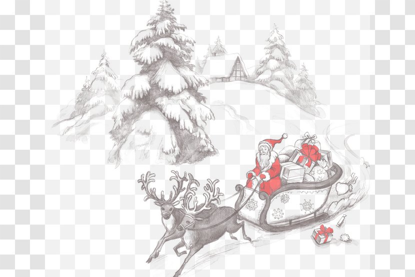 Creative Holiday - Illustration - Decor Transparent PNG