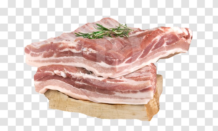 Ham Domestic Pig Back Bacon Prosciutto Capocollo - Tree Transparent PNG