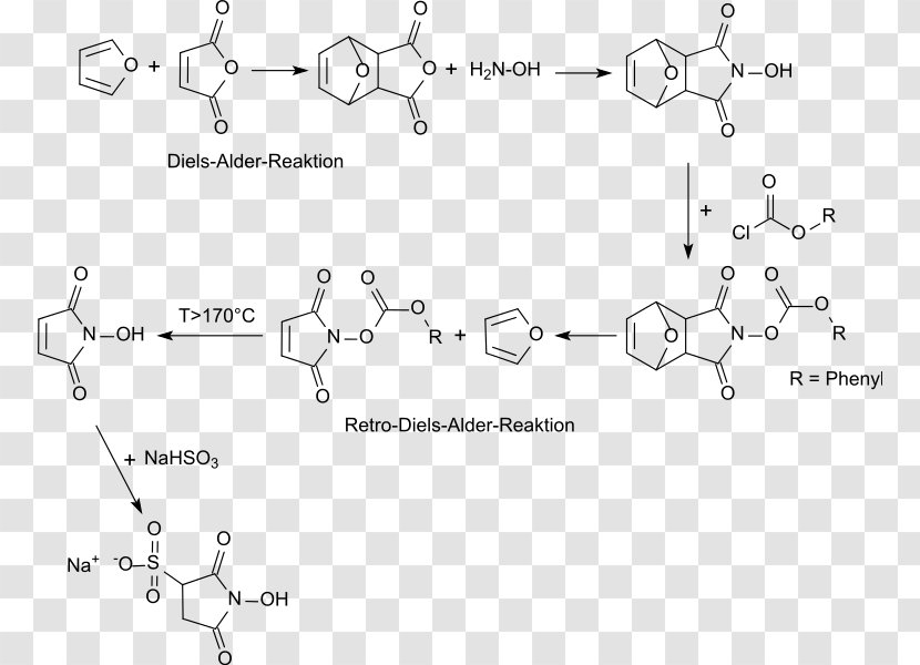 N-Hydroxysulfosuccinimide Sodium Salt N-Hydroxysuccinimide N-Hydroxymaleinimid Metabisulfite Bisulfite - White - Nhs Transparent PNG