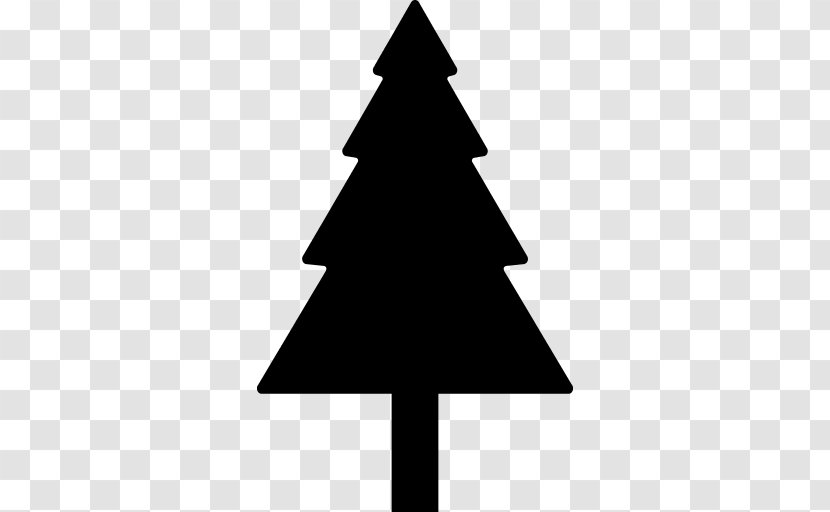 Tree Pine - Stump Grinder Transparent PNG