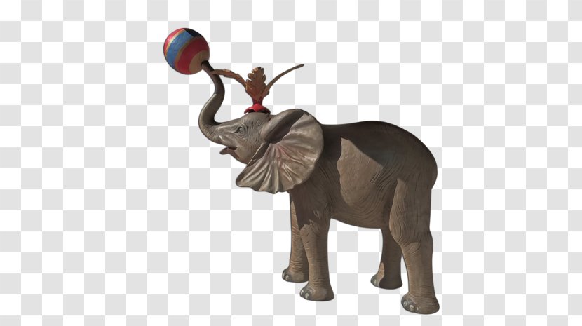 Indian Elephant African Circus Lion - Tiger - TOY ELEPHANT Transparent PNG