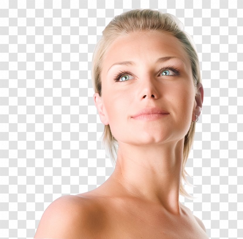 Woman Face - Chin - Brown Hair Transparent PNG