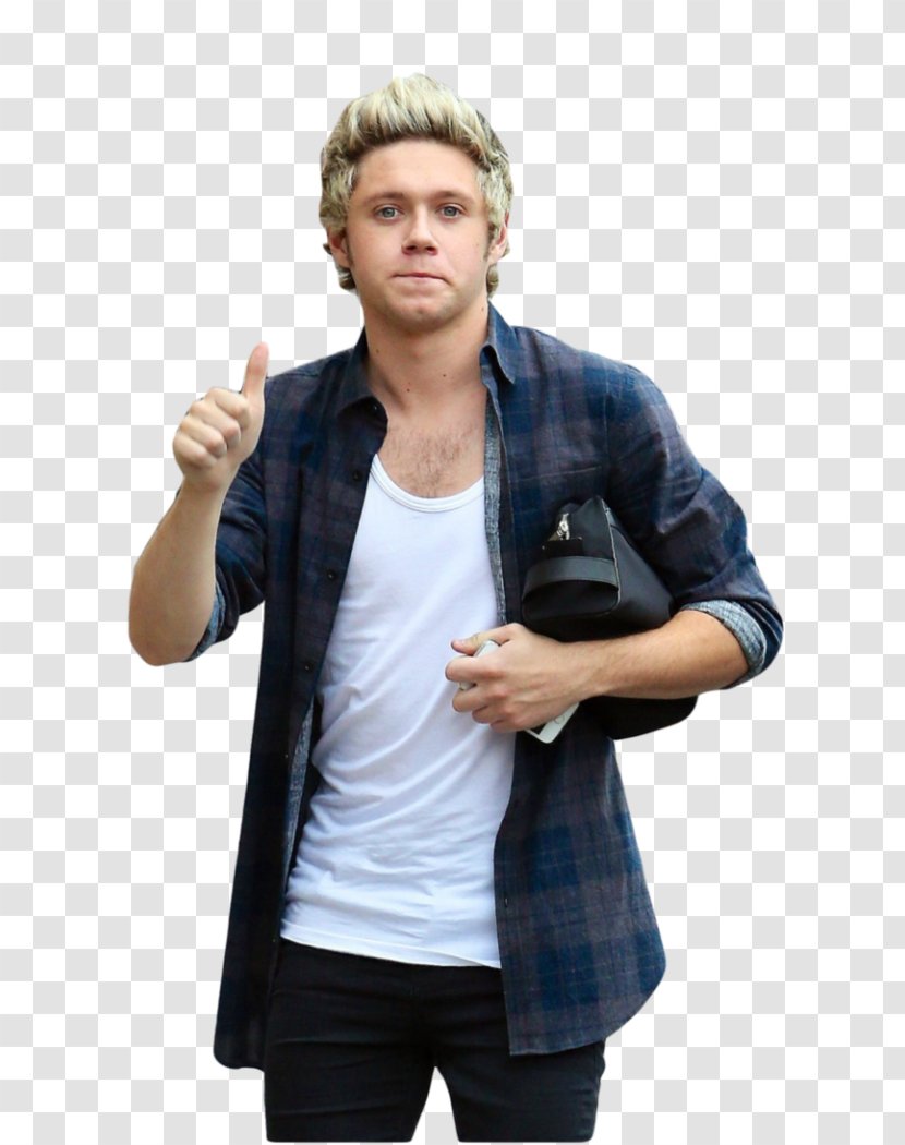 Niall Horan One Direction Night Changes Island Delta - Silhouette Transparent PNG