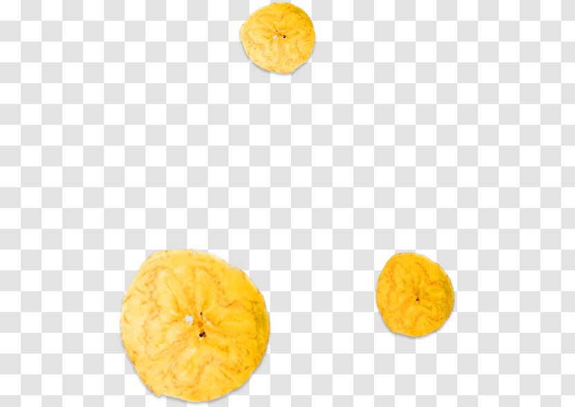 Citrus Junos Vegetarian Cuisine ARA Food Corporation Winter Squash - Plantain Chips Transparent PNG