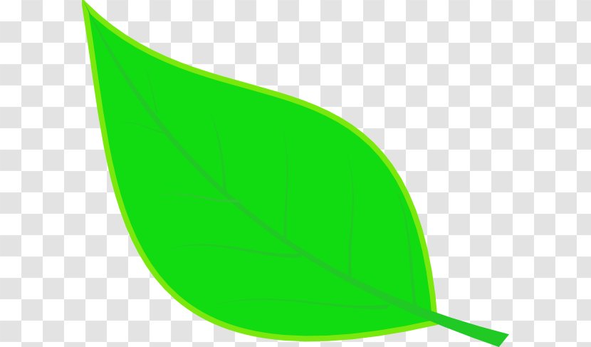 Line Leaf Clip Art Angle Product Design - Griffith Transparent PNG