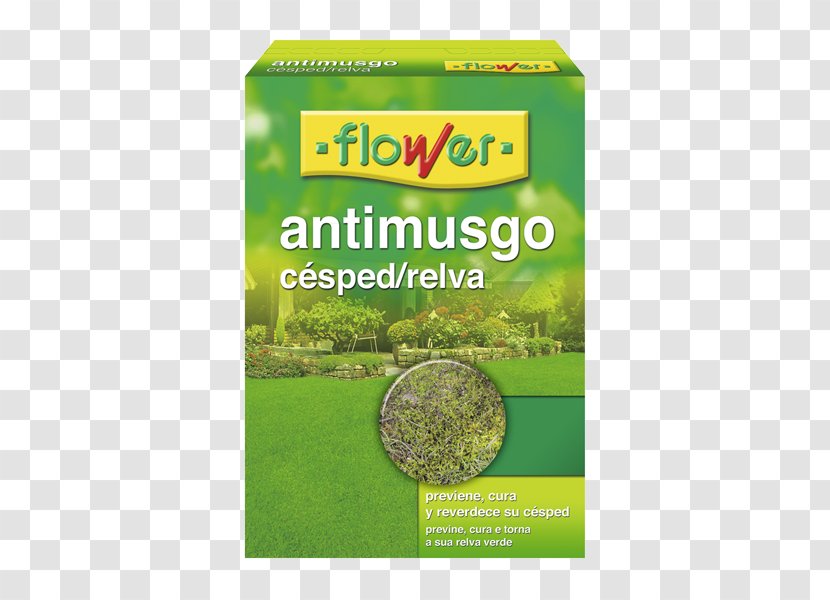 Flower Anti-Moss Lawn 40508 Food Product - Artificial Grass Transparent PNG