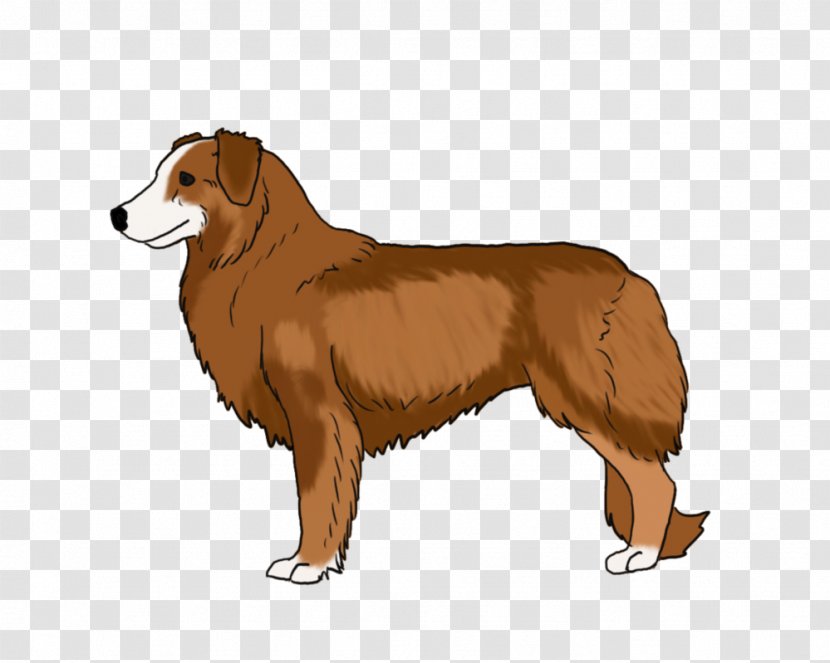 Dog Breed Snout - Group Transparent PNG