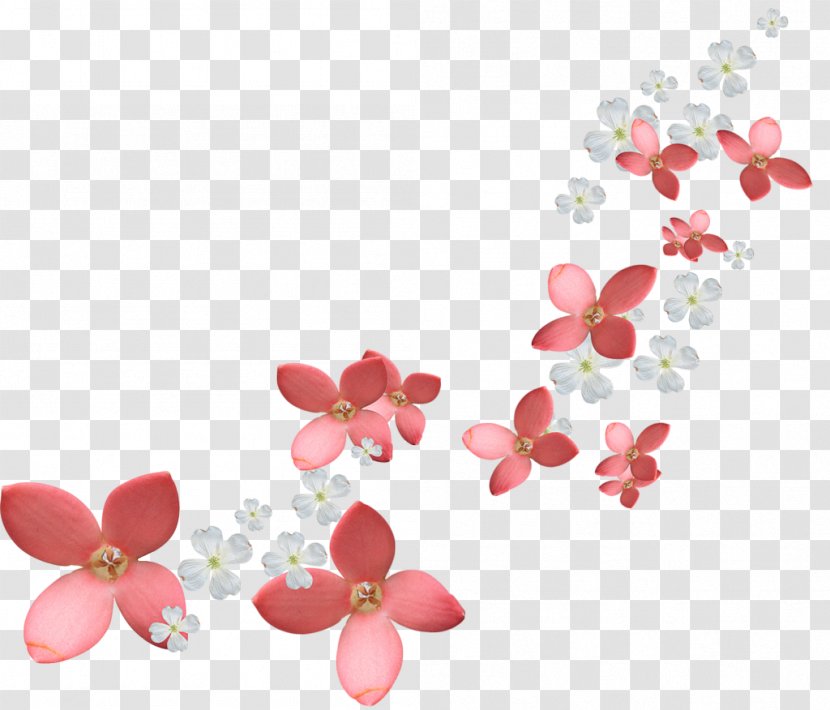 Flower Clip Art - Blossom Transparent PNG