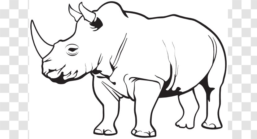 Rhinoceros Horn Clip Art - Organism - Rhino Animal Cliparts Transparent PNG