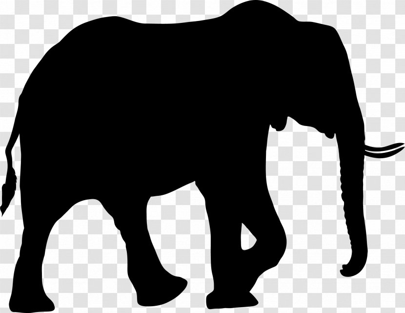 African Elephant Silhouette Bear Clip Art - Black - Elephany Transparent PNG