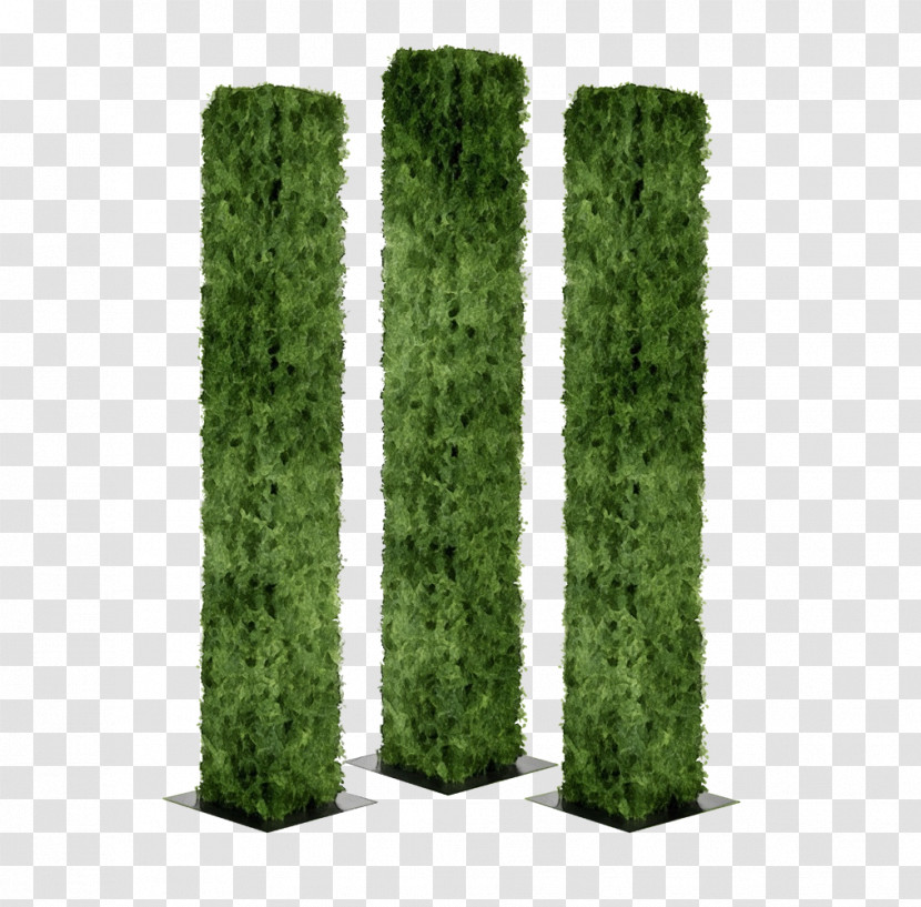 Green Grass Shrub Plant Tree Transparent PNG