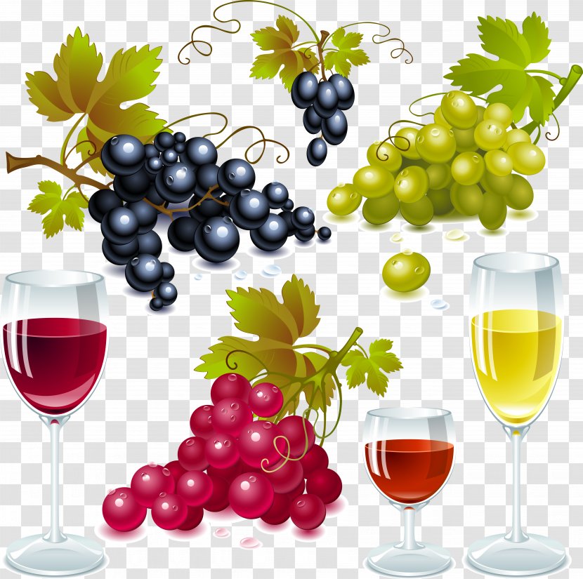 White Wine Red Sauvignon Blanc Concord Grape - Tableware - Grapes And Goblet Vector Material Transparent PNG