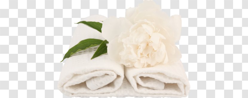 Banya Towel Laundry Washing Hotel Transparent PNG