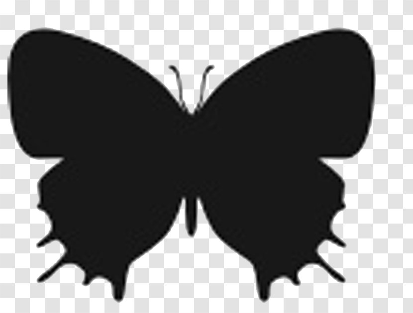 Butterfly Insect Silhouette Stencil Transparent PNG