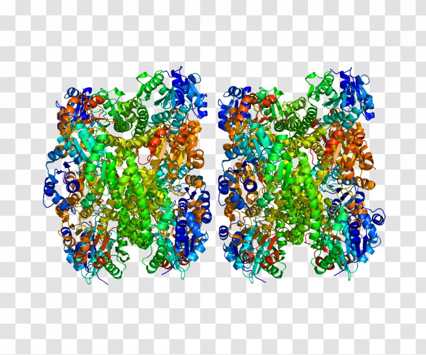 UDP-glucose 6-dehydrogenase Uridine Diphosphate Glucose Gene - Silhouette - Tree Transparent PNG