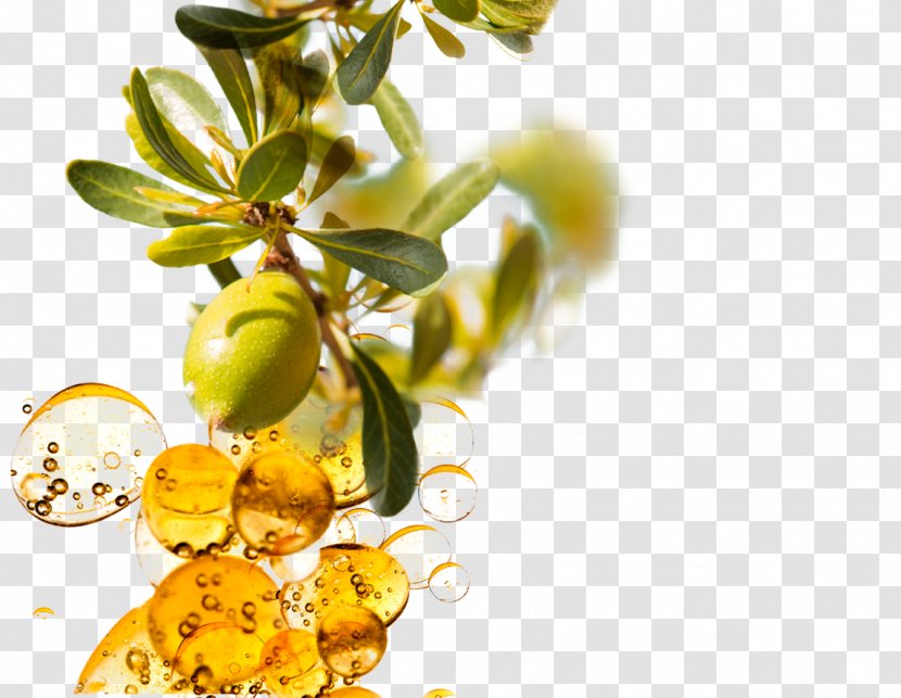 Argan Oil Hair Care - Food - Olives Transparent PNG