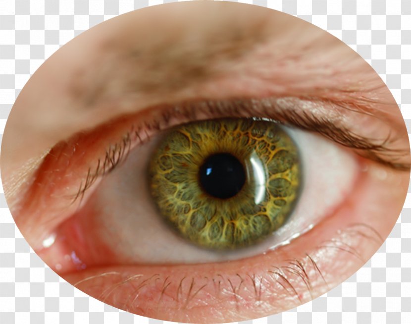 Human Eye Retina - Frame Transparent PNG