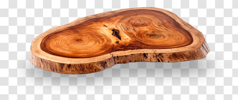 Coffee Tables Tree Trunk Furniture - Cartoon - Table Transparent PNG