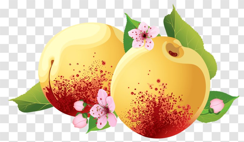 Marmalade Peach Fruit - Auglis - Hand-painted Transparent PNG