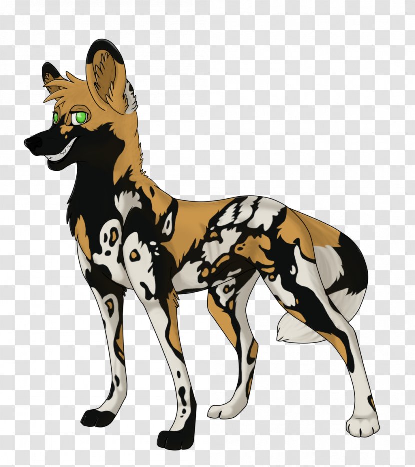 African Wild Dog Puppy Dhole Drawing - Watercolor Transparent PNG