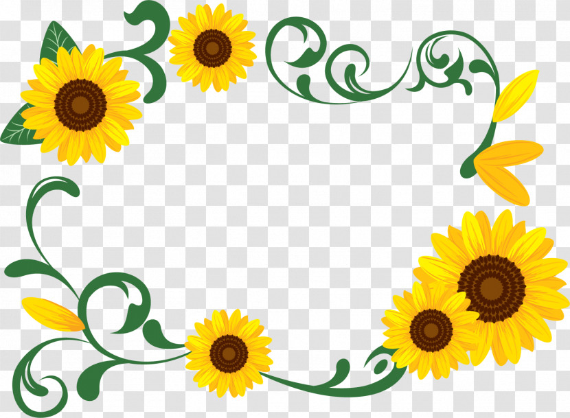 Sunflower Rectangular Frame Rectangular Frame Floral Frame Transparent PNG