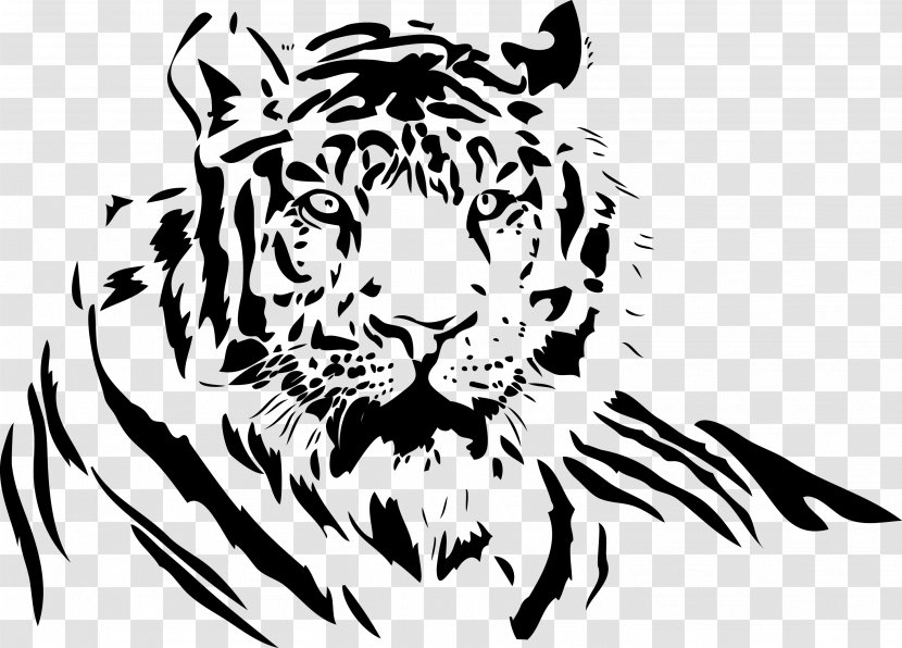 White Tiger Drawing Clip Art - Cartoon - TIGER VECTOR Transparent PNG