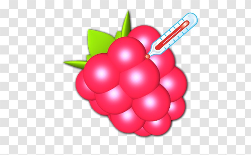 Raspberry Pi Android - Cherry Transparent PNG