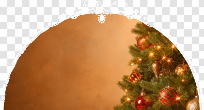 Christmas Tree O Tannenbaum Gift - White Transparent PNG